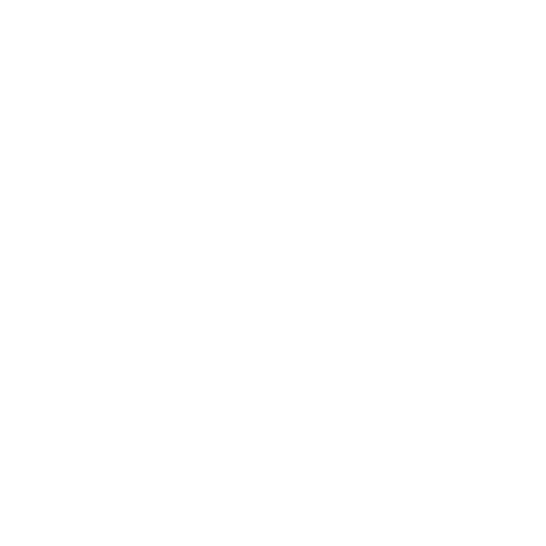 Neloma Studio